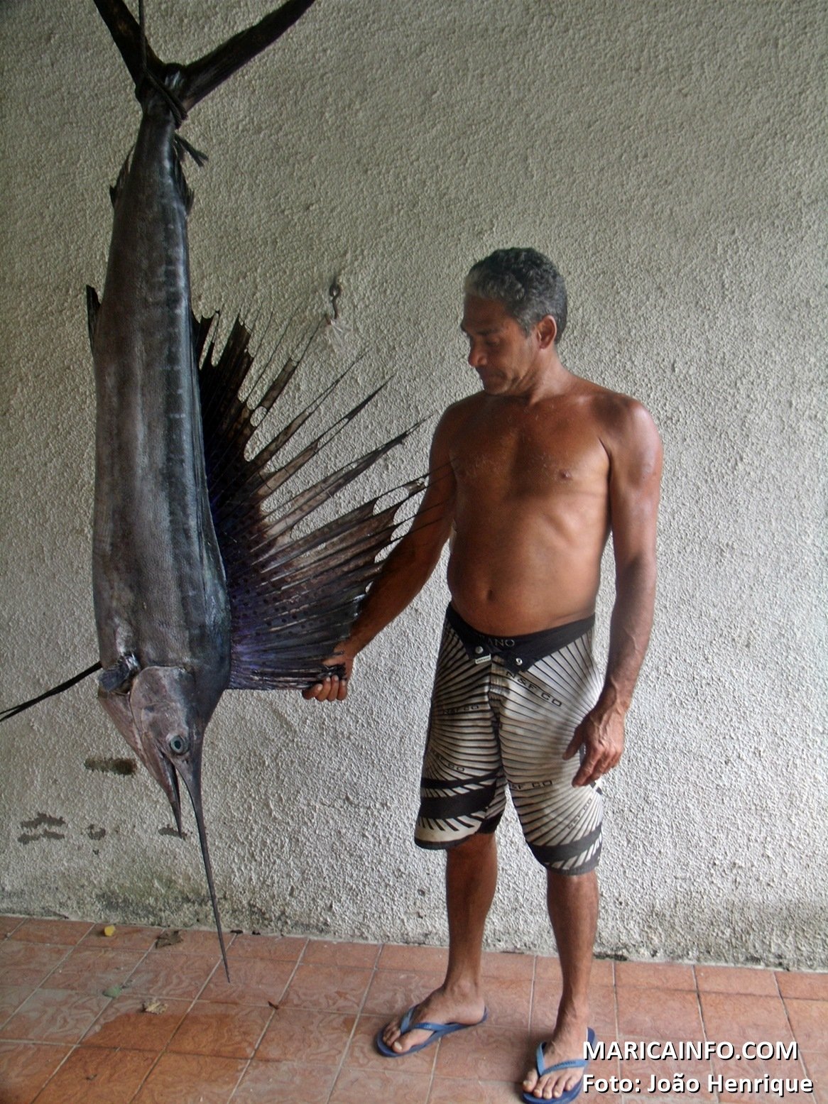 Pescador fisga peixe raro no mar de Maricá 8 Marlim de quase 50kg foi capturado pelo pescador de São José. (Foto: João Henrique | Maricá Info)