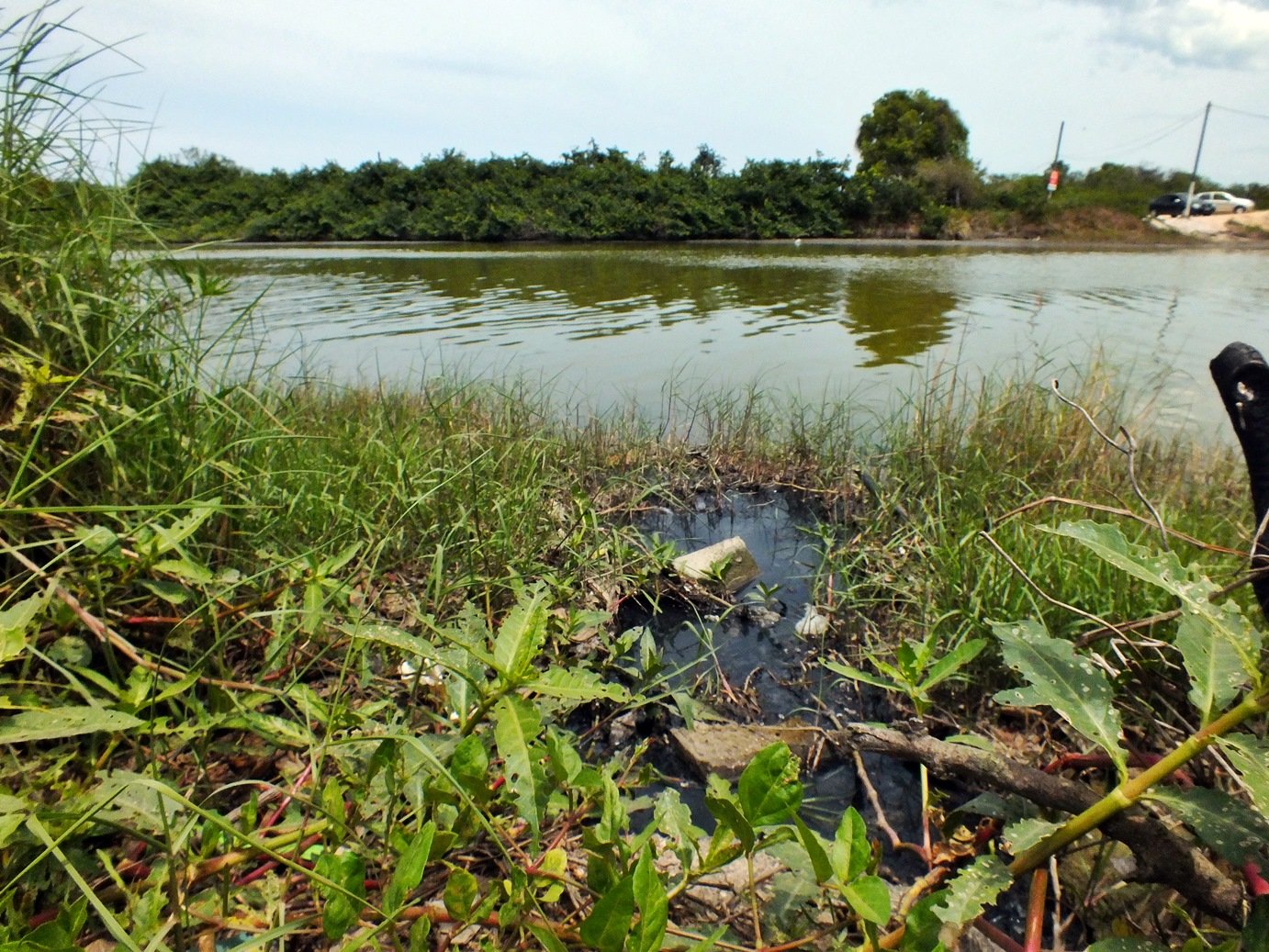 Bambuí: Leitores denunciam esgoto na lagoa de Guarapiné 9 Lagoa está sendo poluída por esgoto residencial em Bambuí. (Foto: João Henrique | Maricá Info)