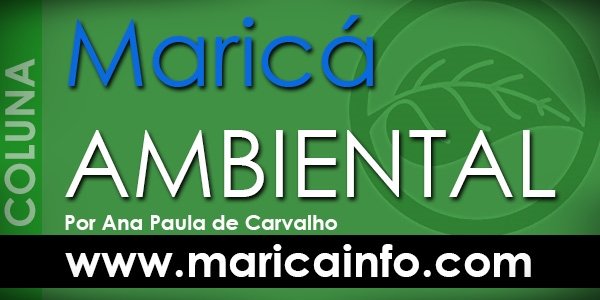 Maricá Ambiental - Apresentação 10 Maricá Ambiental - Clique e curta a página do MaricáInfo.com no Facebook.