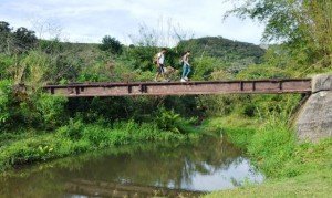 Maricá: Circuito Ecológico visita o Rio Silvado 8 Trilha Silvado Maricá foto Clarildo Menezes