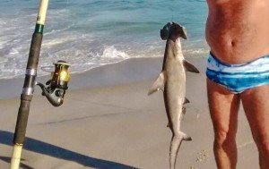 Suposto tubarão é visto na praia da Barra de Maricá e assusta banhistas 9 tubarao martelo itaipuacu