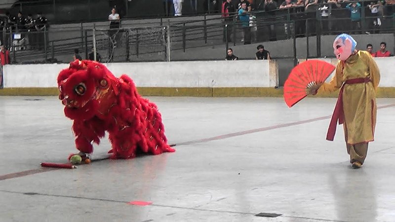 Atletas de Maricá conquistam medalhas em campeonato de Kung Fu e Tai Chi Chuan em Minas Gerais 8 danca do leao