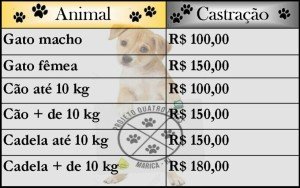 Projeto permite castração de animais a preços mais acessíveis em Maricá 6 Confira os preços para castração.