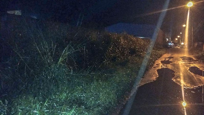 Maricá: Em São José, moradores sofrem com rua intransitável 9 Mato invade a rua em São José.