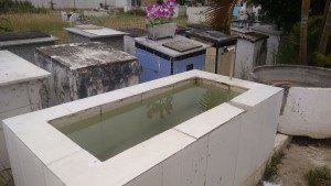 Maricá: Internauta denuncia abandono no Cemitério Municipal 8 Local com água acumulada pode conter focos do mosquito Aedes Aegypti.