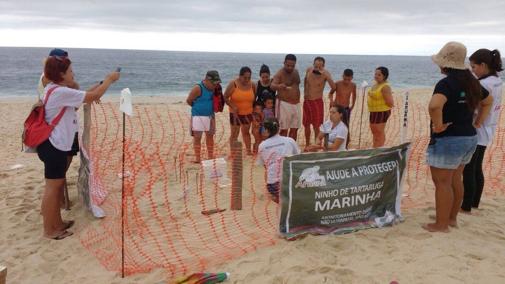 Maricá: Pesquisadores trocam local de ninho de tartaruga marinha para proteger os ovos 2 Fotos: Clarildo Menezes