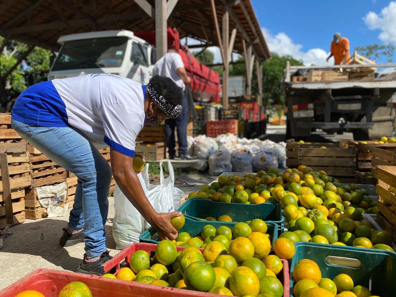Maricá: Prefeitura entrega cestas de hortifruti para famílias vulneráveis 8 hortifruti