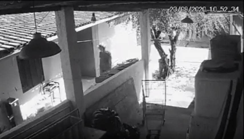Criminoso invade instituto para deficientes em Maricá 8 invasao