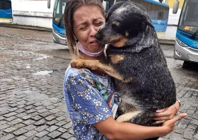 Maricá: Após grande mobilização, Amarula é encontrada 5 amarula encontrada