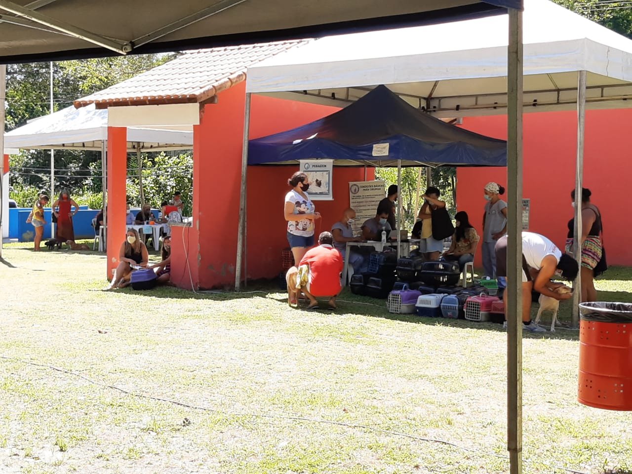 Maricá: Castramóvel atende cerca de 250 animais no Caju 7 castramovel caju marica