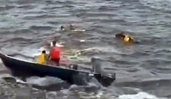 Maricá: Bombeiros resgatam égua que caiu na praia da Sacristia 8 egua praia sacristia