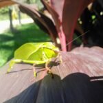 Terrenos no condomínio Park das Águas com condições imperdíveis 13 3