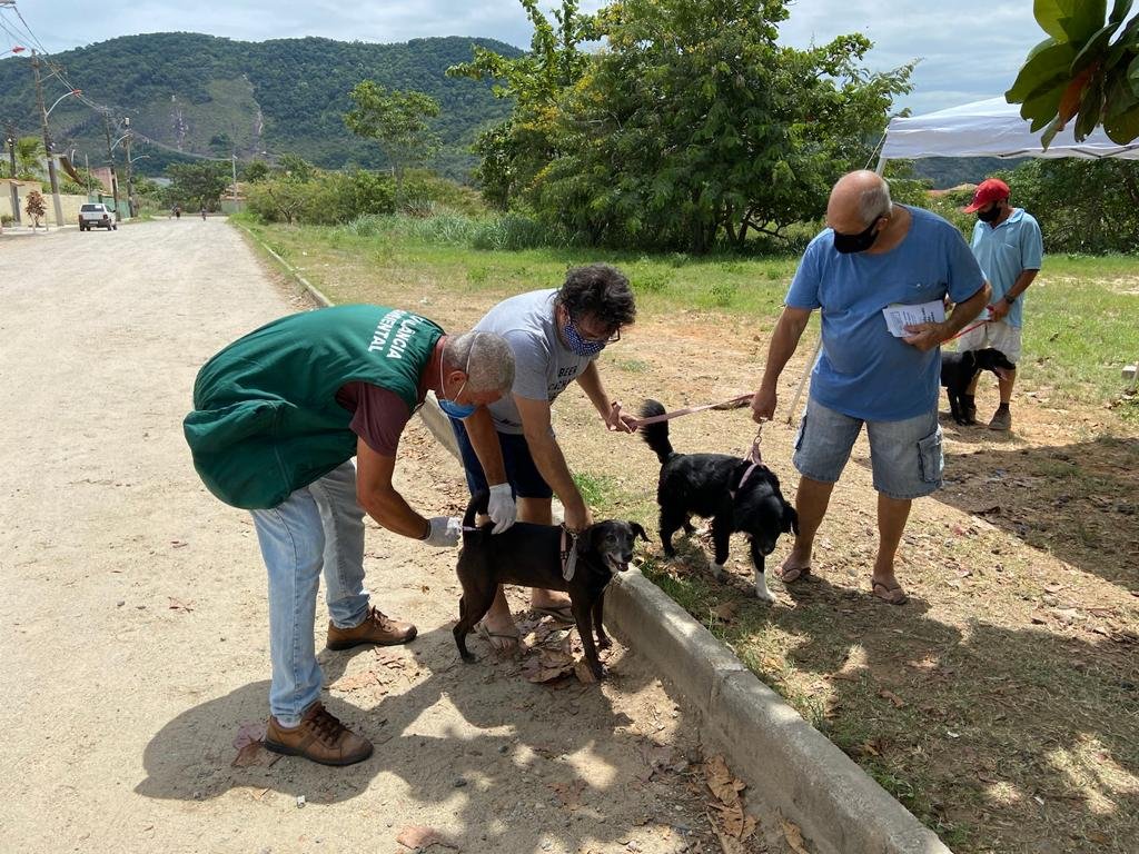 Maricá: Mais de 10 mil animais são vacinados no último sábado (06) 8 vacinacao antirrabica