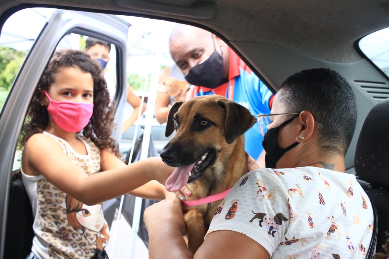 Maricá vacina animais em sistema drive thru 8 vacinacao