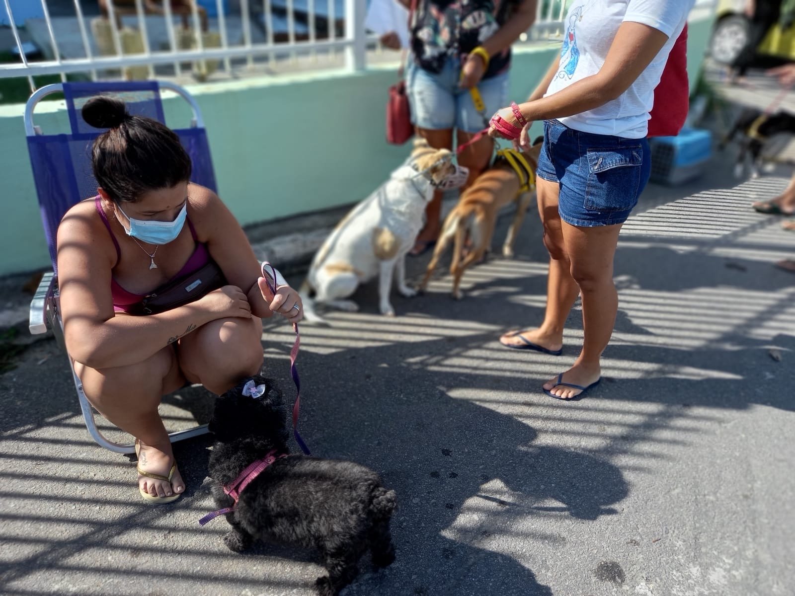 Maricá: Castramóvel atende mais de 220 animais em Itaipuaçu 11 24711093 A6DA 4F08 A674 13F7E1D9C0F8