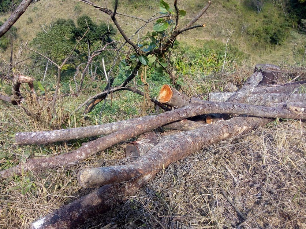 Polícia encontra área de 600 m² desmatada em Maricá após denúncia 5 C9281320 6EC4 4153 8127 405284F42F6A