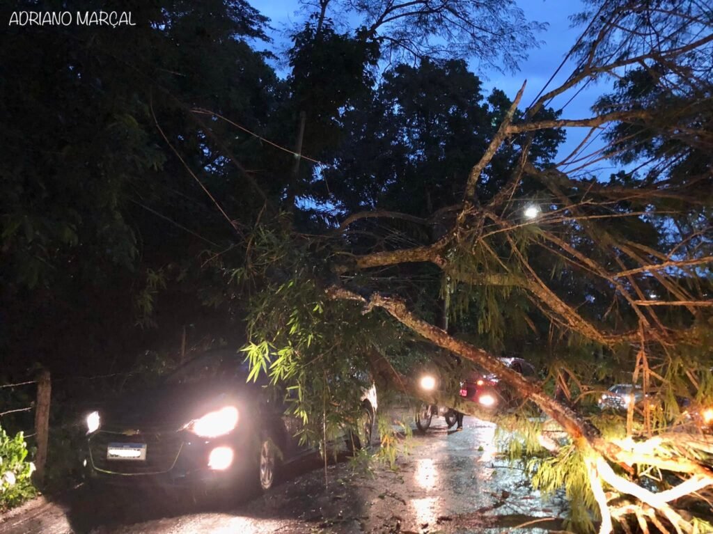 Itaipuaçu: Temporal derruba árvore na 'Estrada da Serrinha' 8 arvora caida serrinha