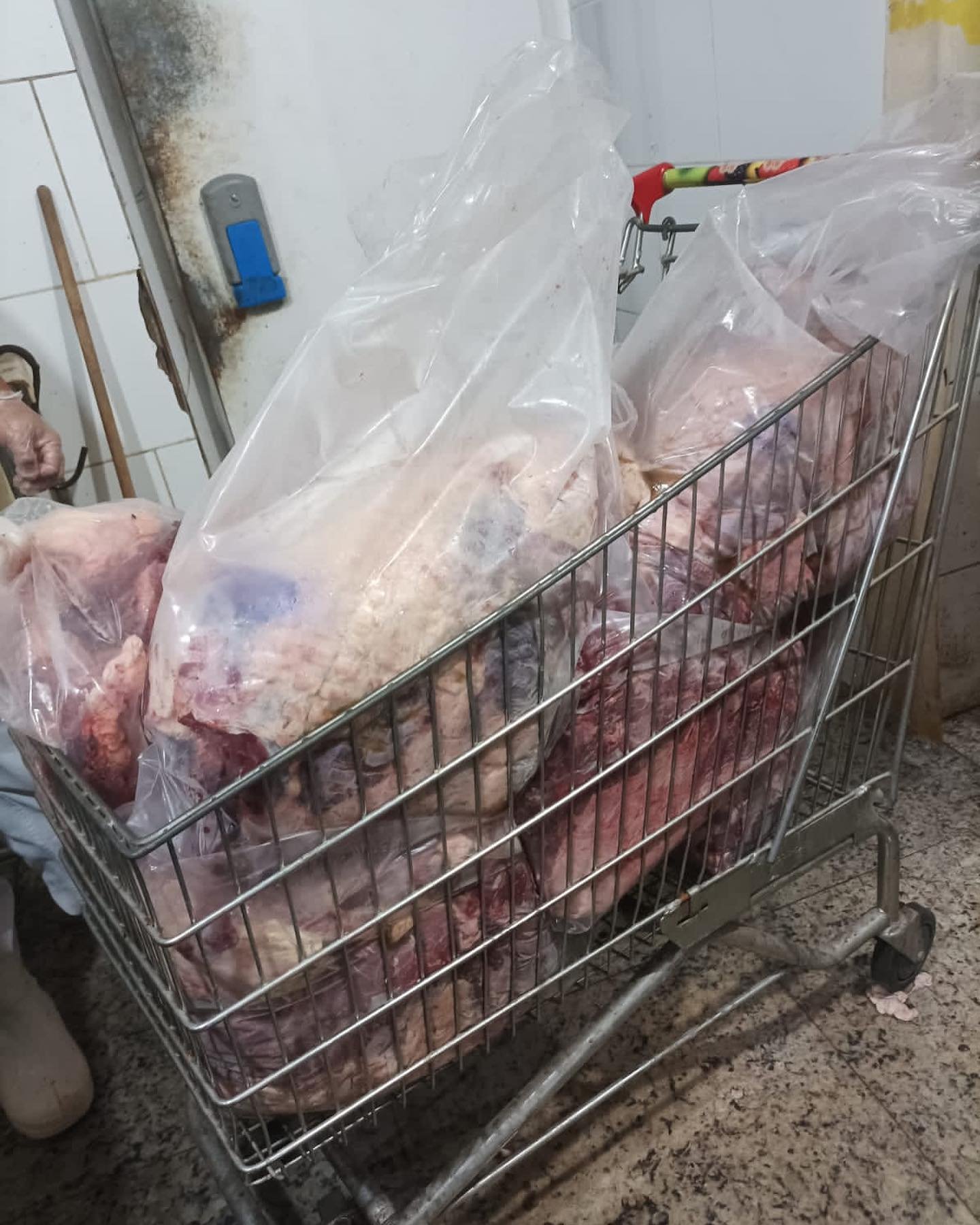 Maricá: Fiscalização descarta mais de 170 kg de alimentos impróprios para consumo 8 carnes descartadas