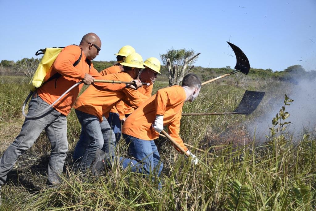 Defesa Civil realiza treinamento contra incêndios na restinga de Maricá 10 defesa civil restinga
