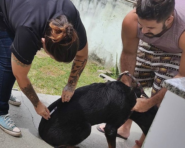 Maricá realiza 1ª etapa da Campanha de Vacinação Antirrábica Animal neste sábado (08); confira os polos 2 vacinacao antirrabica
