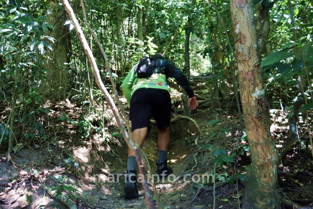Apesar de ser considerada leve, trilha tem subida bem íngreme em meio à Mata Atlântica.