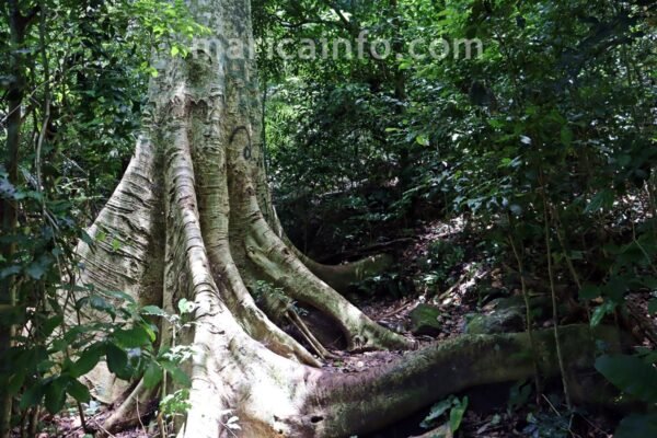 Pedra do Macaco Descubra Marica 2023 5