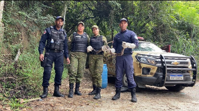 Maricá: Cobra é resgatada na suspensão do carro em Inoã 10 gms cobra