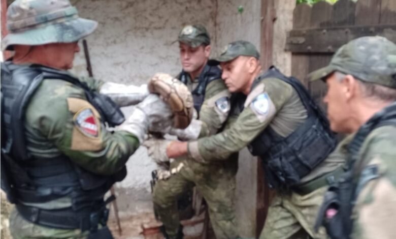 Guarda Municipal resgata jiboia dentro de residência em Maricá 10 GM itaocaia