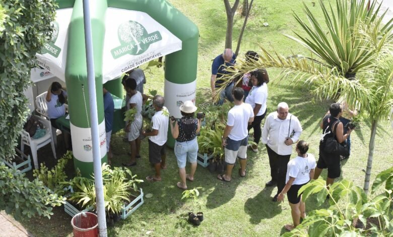 Maricá + Verde: Programa distribuirá 300 mudas em dezembro 5 marica mais verde pr