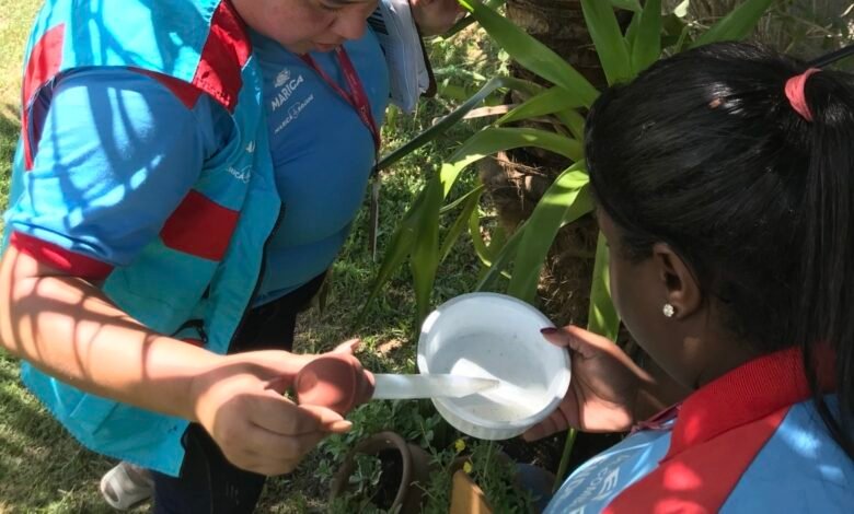 Maricá segue com risco baixo para a dengue; medidas de prevenção precisam ser reforçadas 10 IMG 1560