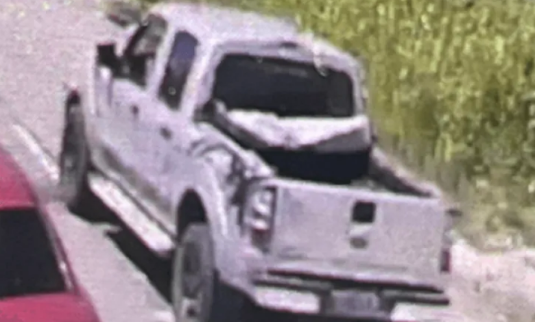Polícia investiga morte de gato arremessado de carro em Maricá 7 carro
