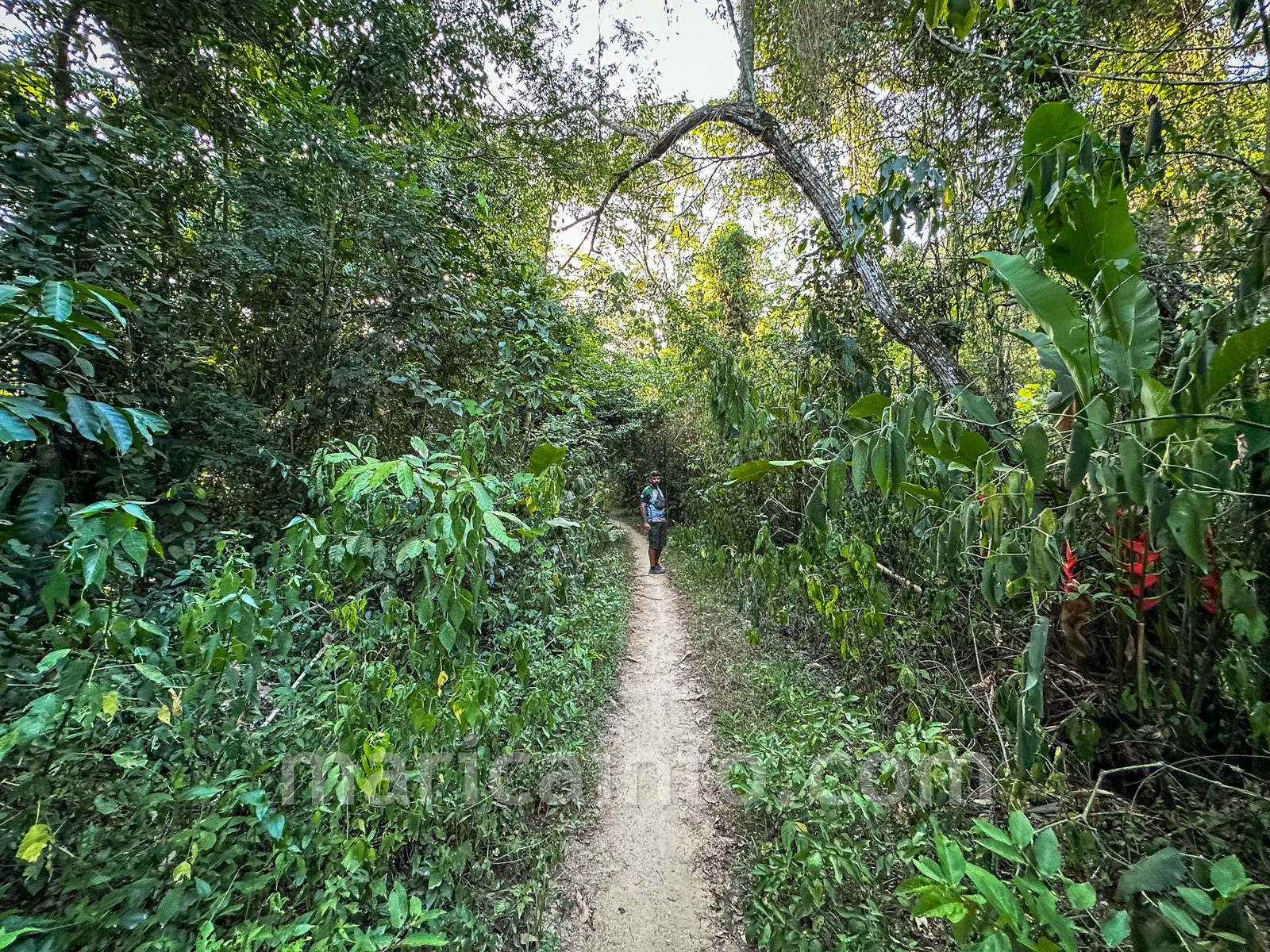 Itaipuaçu: Defender Ecoturismo promove trilha pelos Caminhos de Darwin neste domingo (18/02), confira! 10 IMG 1656