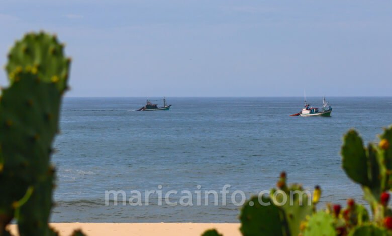 Maricá: Traineiras voltam a ser flagradas no litoral praticando pesca de arrasto 7 IMG 1764
