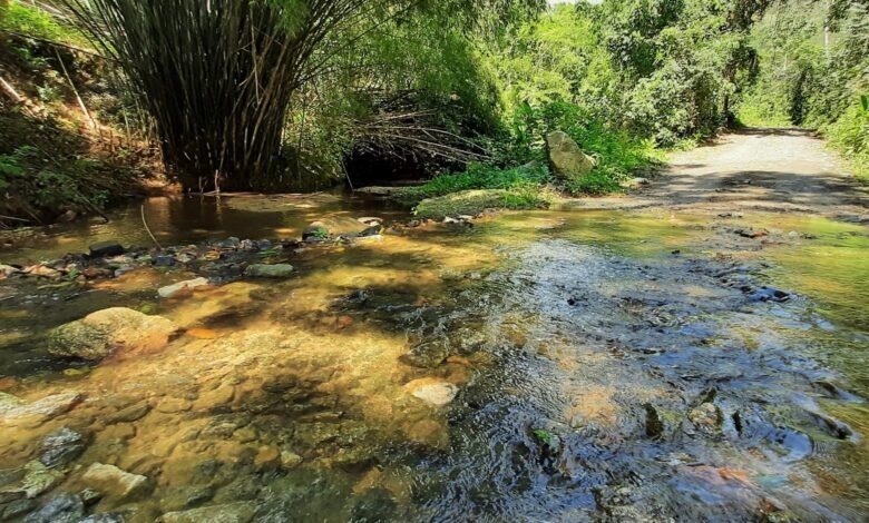 Rio Ubatiba será o primeiro destino do circuito ecológico de Maricá 8 IMG 8985