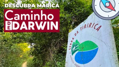 THUMB DESCUBRA MARICA DARWIN