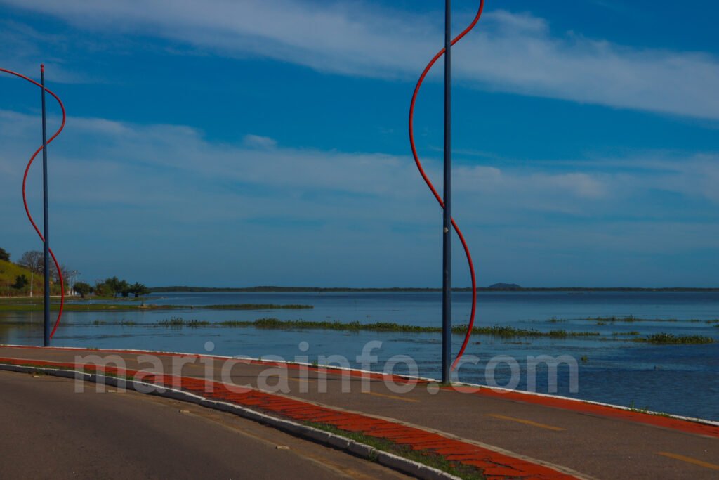 Maricá: Gigogas dominam cenário da Orla de Araçatiba; vegetação se prolifera devido ao despejo de esgoto 11 IMG 2170