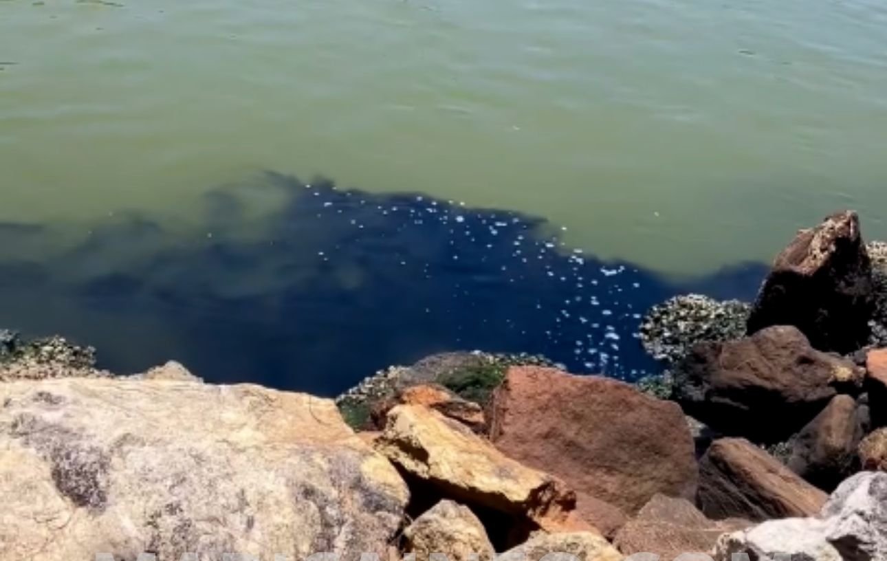 Maricá: Língua negra de esgoto é flagrada por banhistas no canal de Ponta Negra 1 esgoto canal pn