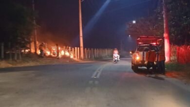 incendio vegetacao marica