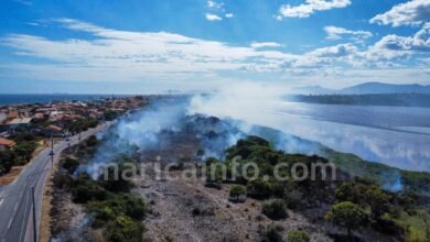 Maricá: Há mais de um mês sem chuvas, queimadas se espalham pela cidade 10 Fogo vegetacao Marica fevereiro 2025