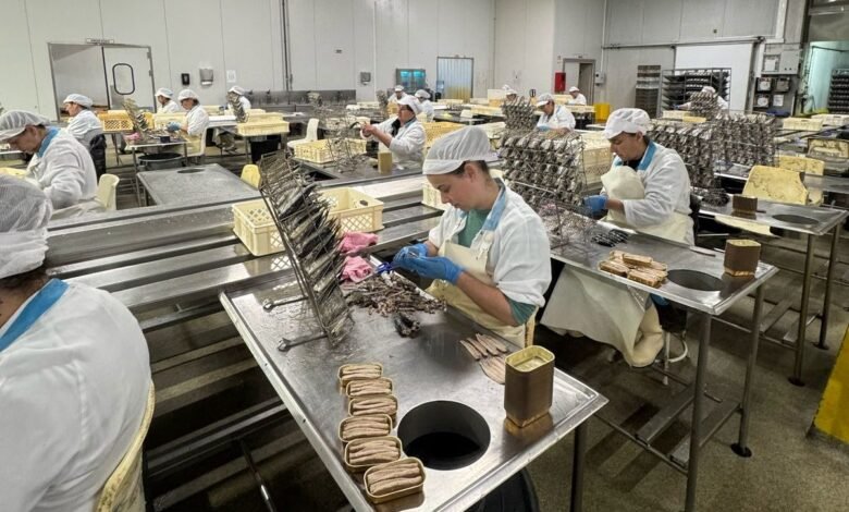 Maricá prevê produção de até 5 milhões de peixes enlatados por ano com futura fábrica de conservas em Bambuí 8 fabrica enlatados