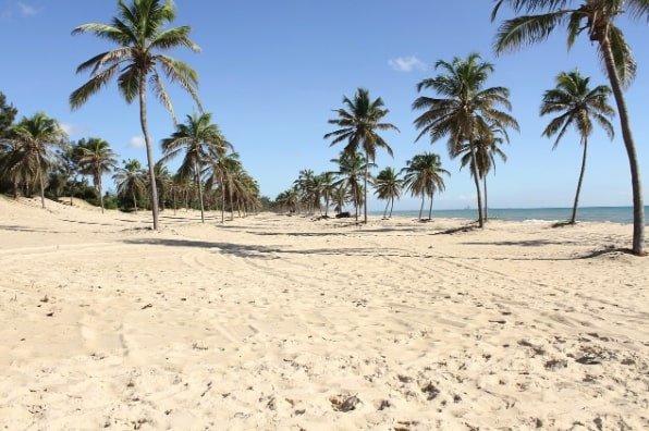 Passagem para Fortaleza: o que saber antes de viajar para a capital cearense 5 fort leza
