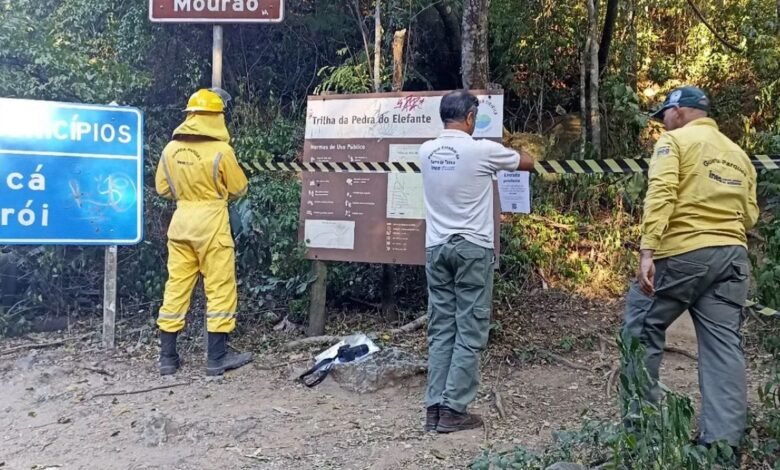 Trilha da Pedra do Elefante continua interditada após incêndio no Parque Estadual da Serra da Tiririca em Maricá 9 trilha pedra do elefante
