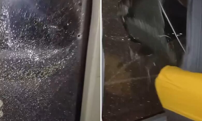 Maricá: Ataque a ônibus assusta passageiros na rodovia Amaral Peixoto 9 IMG 6841