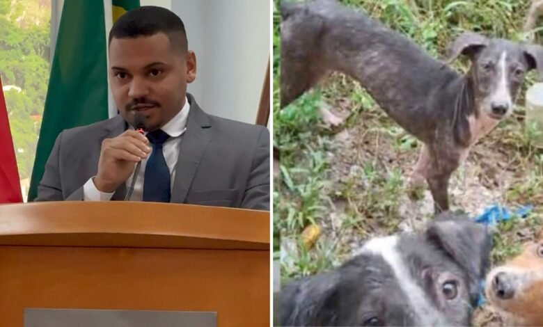 Maricá: Prefeito Quaquá sanciona lei que cria "Patrulha Pet" de autoria do vereador Fabricinho do Horta 5 patrulha pet marica rj