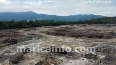 foto destaque materia marica info