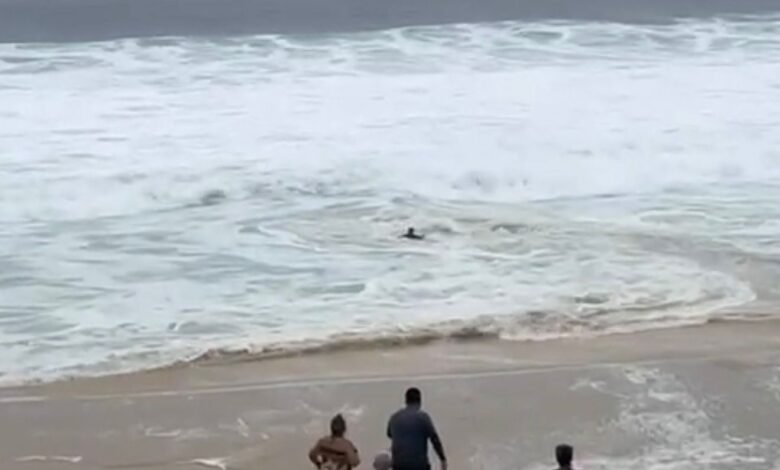 Criança é resgatada no mar durante ressaca em Ponta Negra; Defesa Civil reforça alerta para risco de afogamento 14 resgate