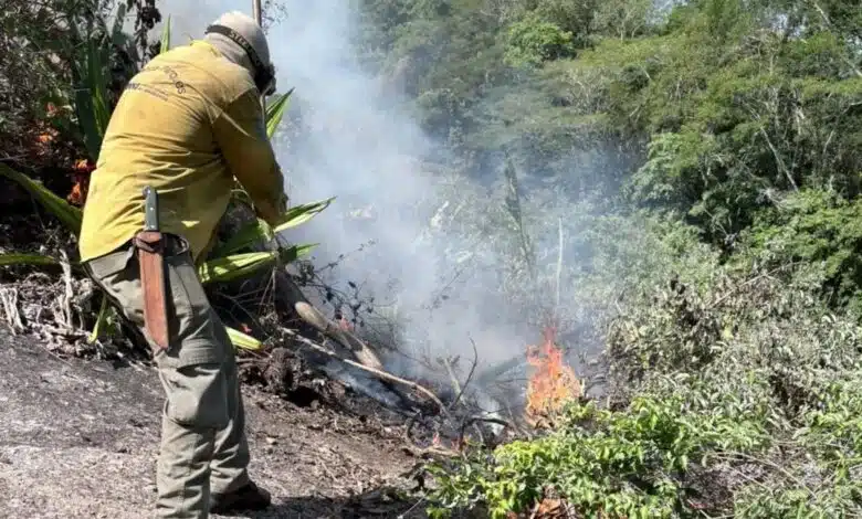 Incêndios no Parque Estadual da Serra da Tiririca mobilizam brigadistas em Maricá 10 Incendio consome parte da Serra da Tiririca