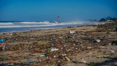 Mutirão no Dia Mundial da Água retira 33 kg de lixo em praia de Maricá 5 lixo