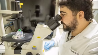 Estudo da UnB aponta ômega-3 como possível aliado no combate ao câncer de ovário 10 Pesquisa da UnB indica potencial do omega 3 contra cancer de ovario