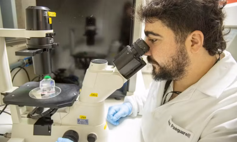 Estudo da UnB aponta ômega-3 como possível aliado no combate ao câncer de ovário 14 Pesquisa da UnB indica potencial do omega 3 contra cancer de ovario